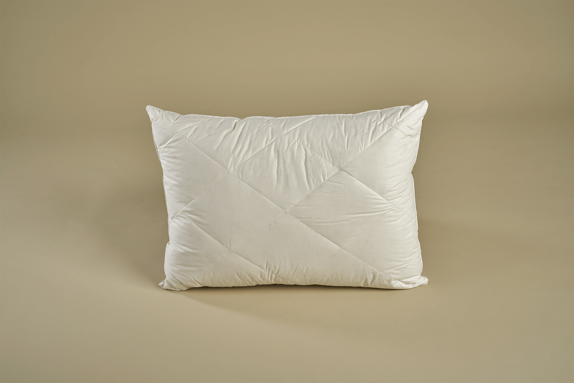 Perjani Jastuk 2u1 3